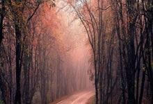 半场-印尼10归化首发0-3澳大利亚 迪克斯失点澳大利亚3分钟2球.