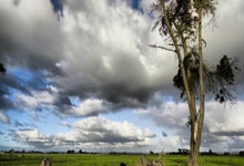 南宫28:冰雪元素拉满!第九届亚冬会开幕式首次全要素彩排完成央视新闻客户端.