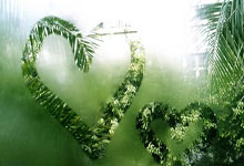 基米希:对我来说续约最重要的考虑因素是成绩 有球队开出大合同.