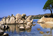 南宫28:北京半程马拉松抽签结果公布,中签选手4月2日17时前须完成缴费.